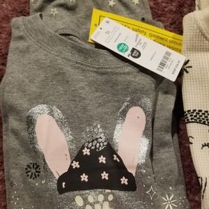 Carter's Gray Pajama Set with Bunny Design Set If Two Sixe 5T New